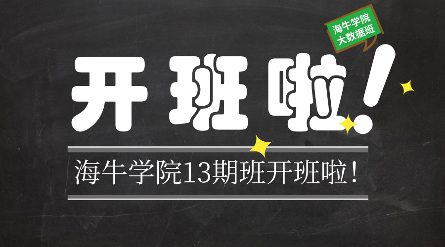 海牛大数据13期班