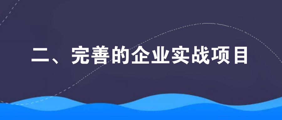 二、完善的企业实战项目