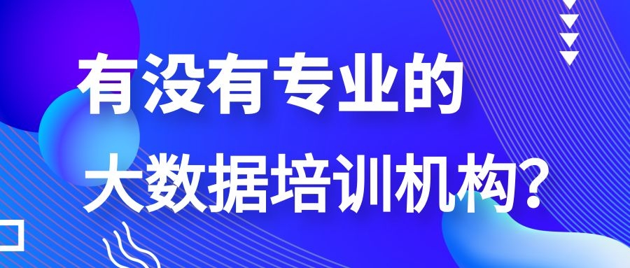 有没有专业的大数据培训机构？